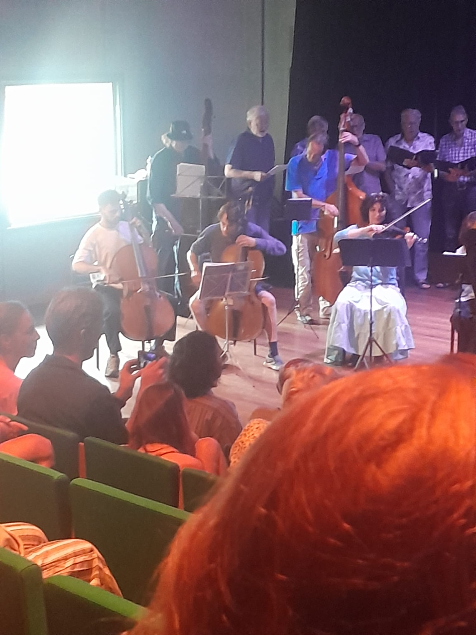 Floris de Wolf tijdens een ensembleoptreden